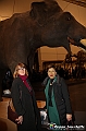 VBS_1278 - Riapre il Museo di Scienze Naturali dopo dieci anni di chiusura
